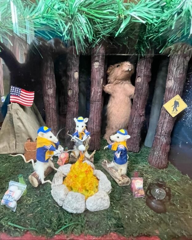 The Wacky Taxidermy &Amp; Miniatures Museum