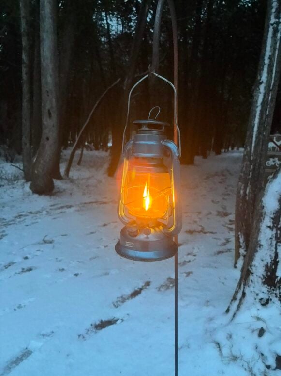 Twilight Turtle Trek