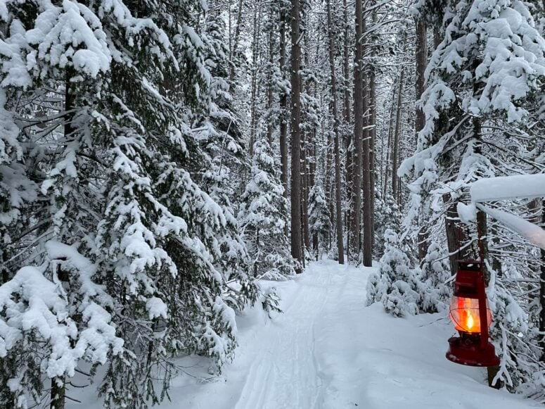 Van Riper State Park