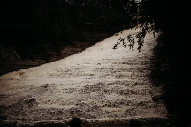 Laughing Whitefish 1