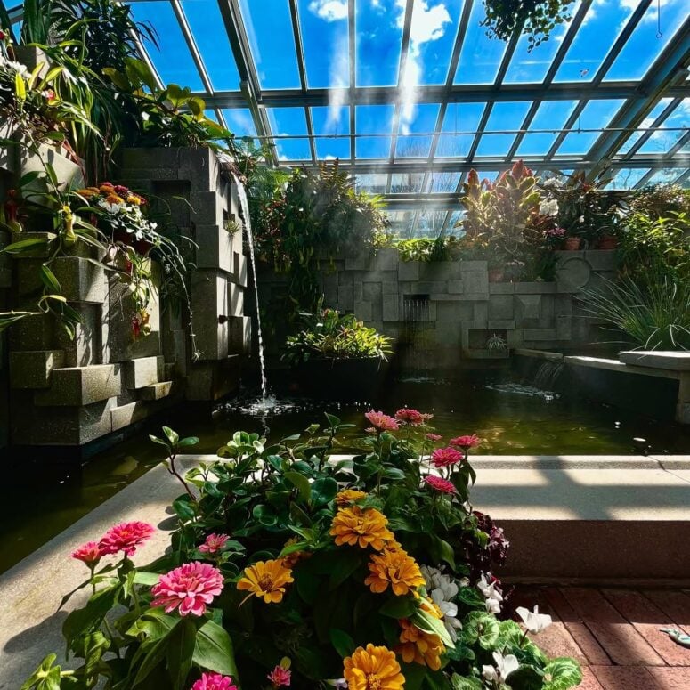 Butterflies In Bloom Dow Gardens Midland