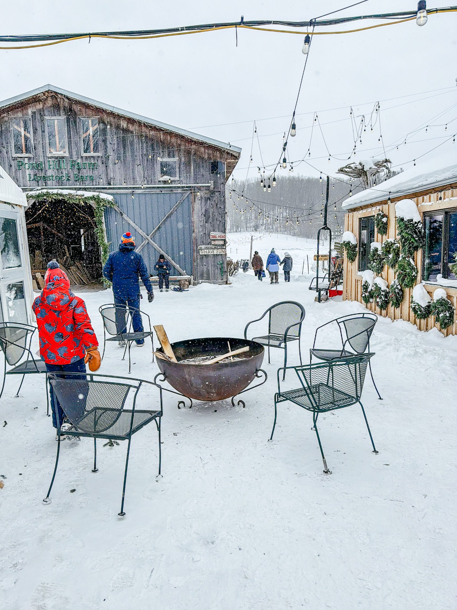 Pond Hill Farm In Winter, Harbor Springs