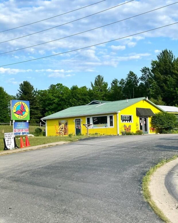 Gt Butterfly House &Amp; Bug Zoo-