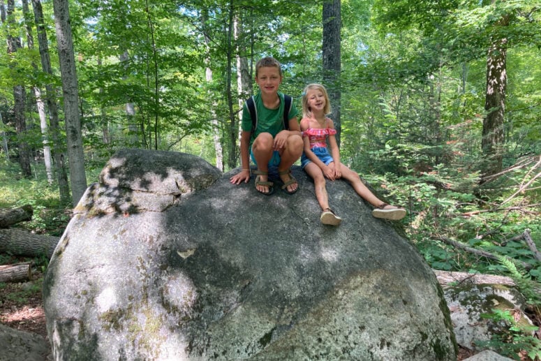 A Young Boy And Girl Sit On Top Of A Rock In The Forest.