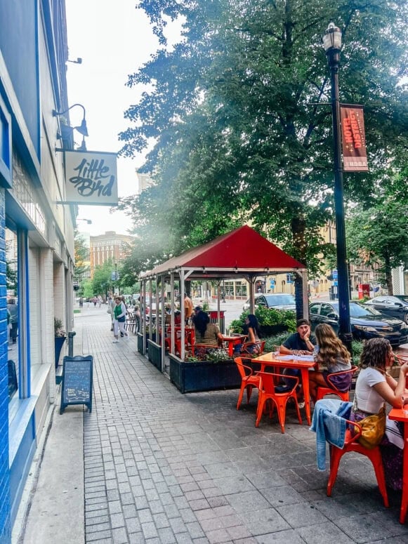 Littlebird In Grand Rapids