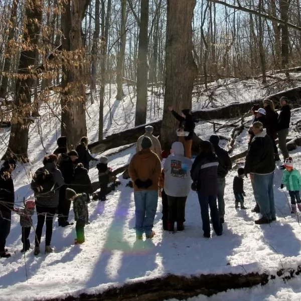 Maple Sugar Festival