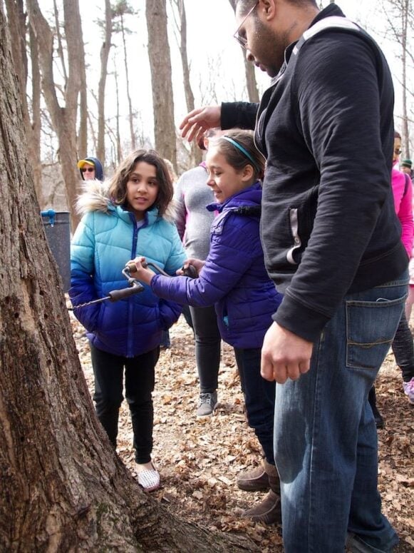 Maple Syrup Festival Ferndale Nature Center