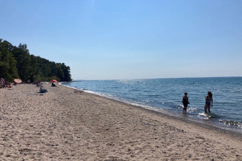 A Sandy Beach With Pine Trees In The Distance. A Few People Swim In The Blue Water.