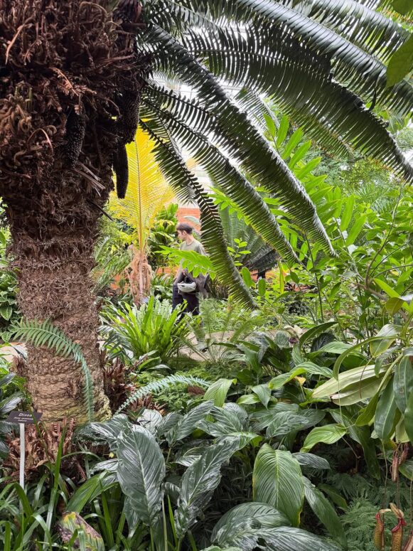 Matthaei Botanical Gardens