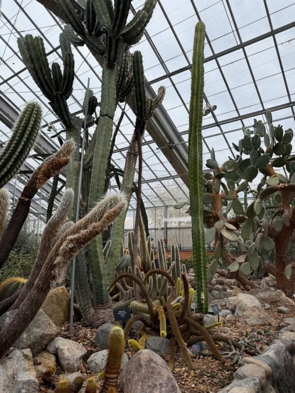 Matthaei Botanical Gardens