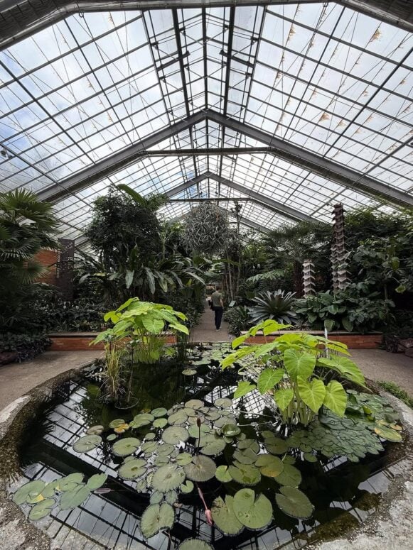 Matthaei Botanical Gardens