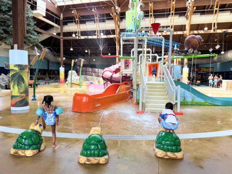 Soaring Eagle Water Park