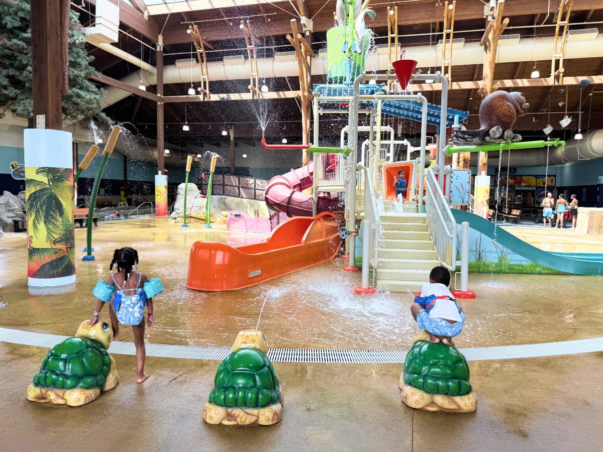 Soaring Eagle Water Park