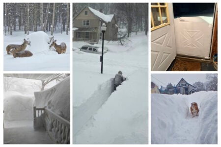 Michigan Snow Storm March 2026