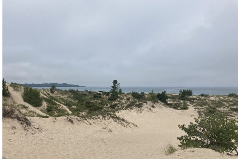 An Overlook On Top Of Sandy Dunes And Wild Dunegrass.