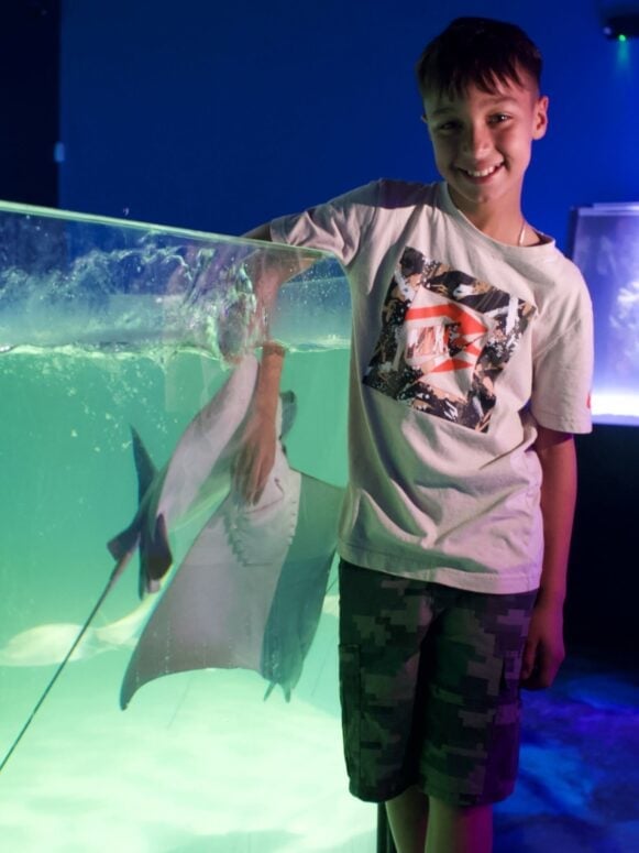 Legasea Aquarium &Amp; The Reptarium
