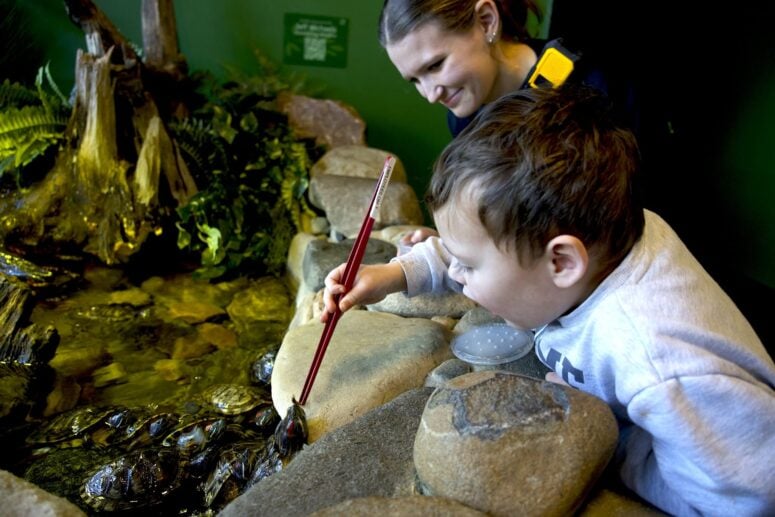 Legasea Aquarium &Amp; The Reptarium