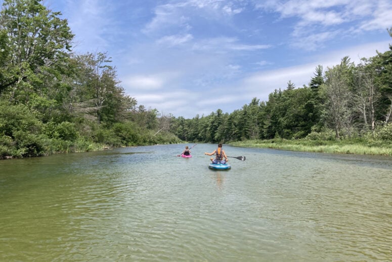 A Man On His Paddleboard Kayaks Along A River With A Child. 