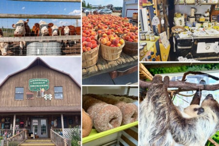 Anderson &Amp; Girls Orchards