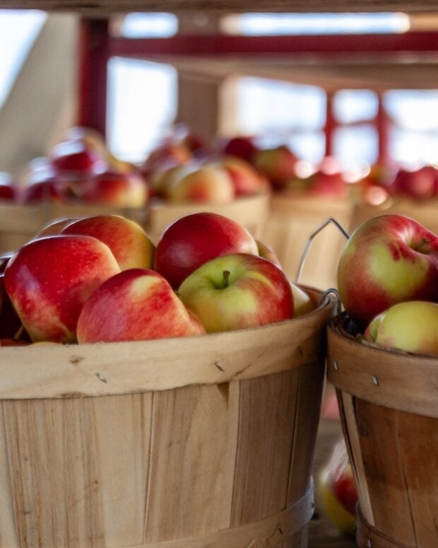 Anderson &Amp; Girls Orchards