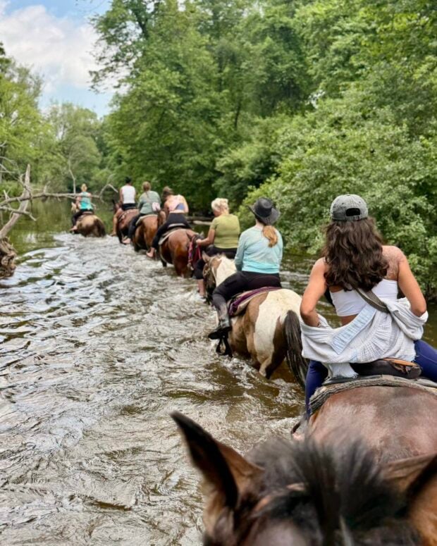 High Vibe Trail Rides, Milford