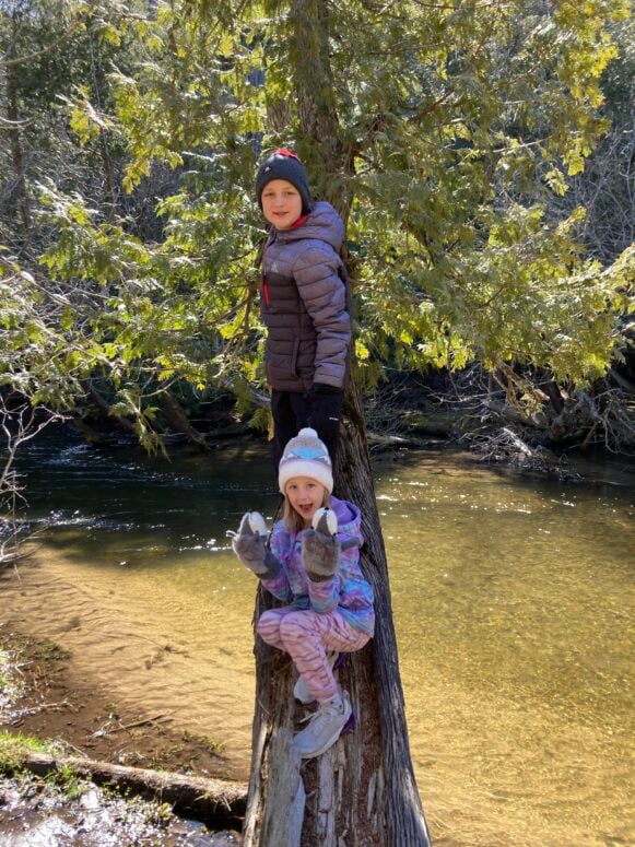 A Boy And Girl Perch On A Downed Tree Across A River.