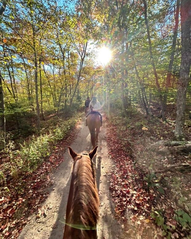 Cindy’s Riding Stable, Mackinac Island