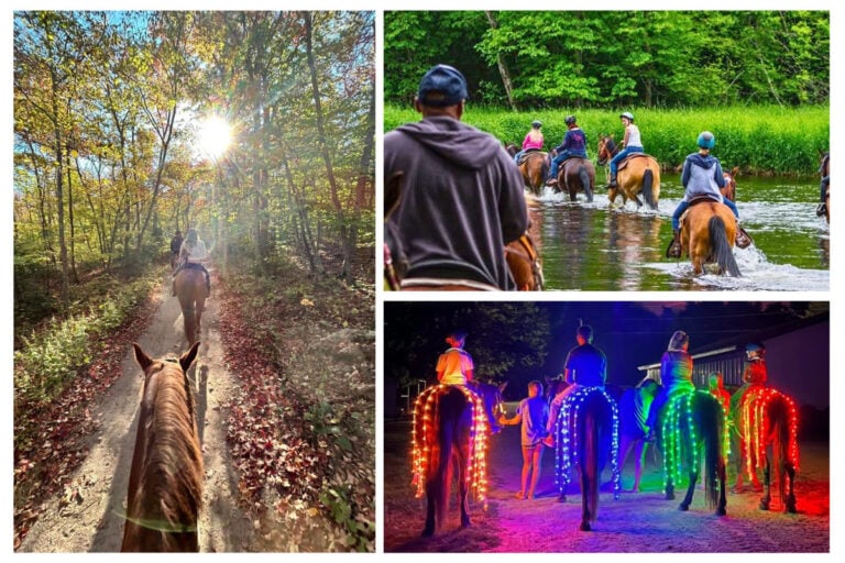 Horseback Riding in Michigan