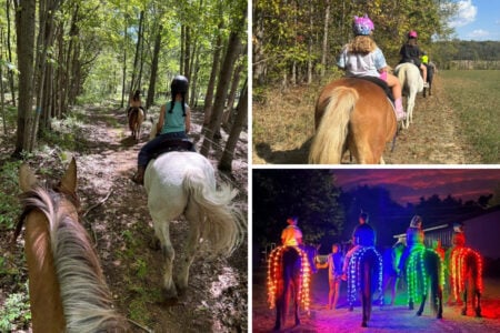 Horseback Rides