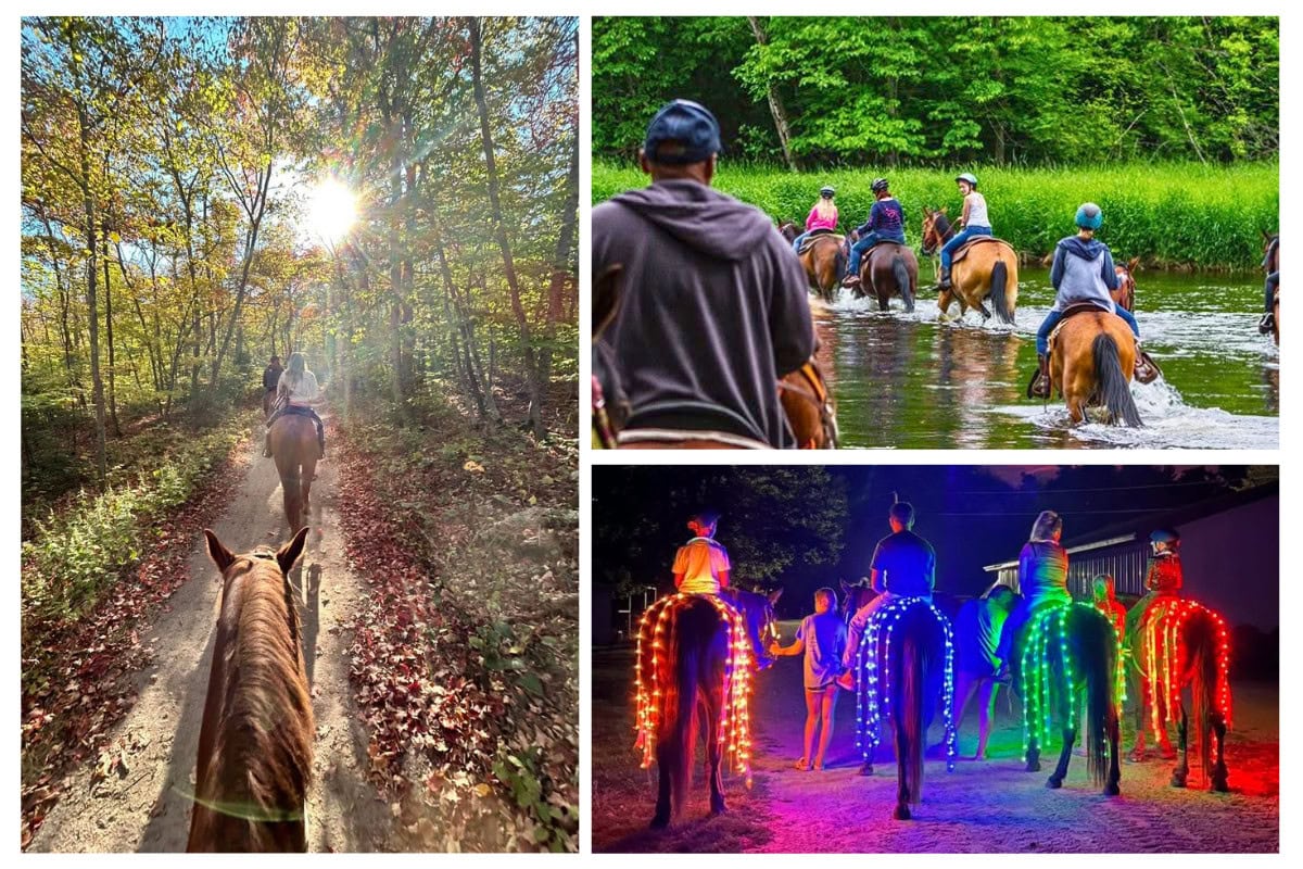 Horseback Riding In Michigan