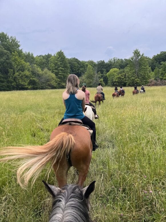 Pine River Stables