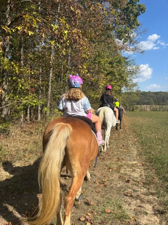 Tails And Trails Farm