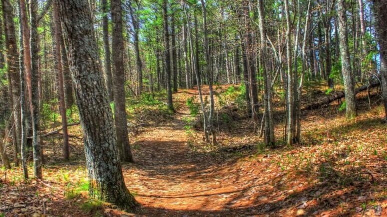 Indian Crossing Trails Park Tecumseh