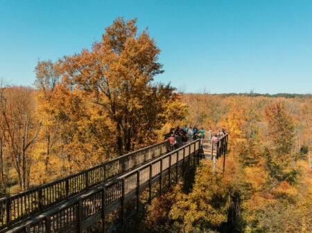Sarett Nature Center