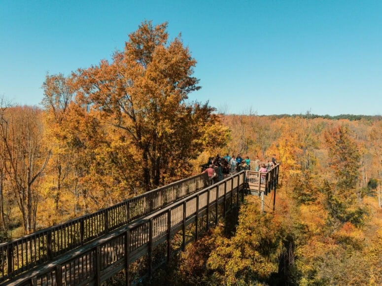 Sarett Nature Center