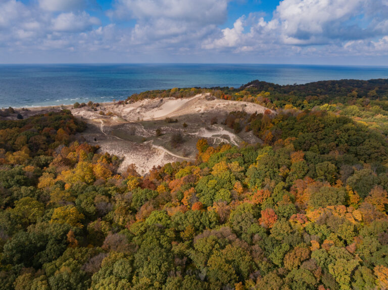 Warren Dunes State Park