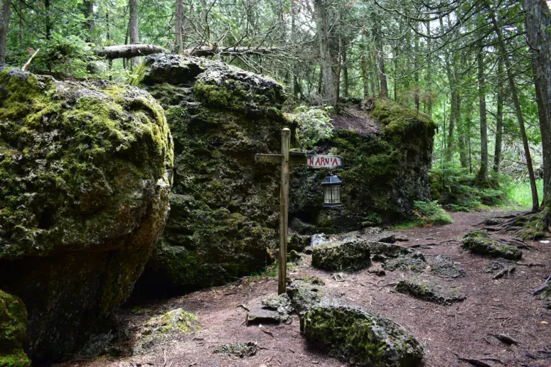 Moss-Covered Rocks And Forest Trail In Michigan's Wilderness.