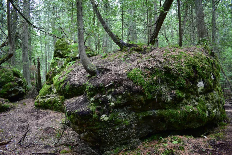 Narnia Trail Rock