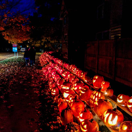 Shepherd Pumpkin Display
