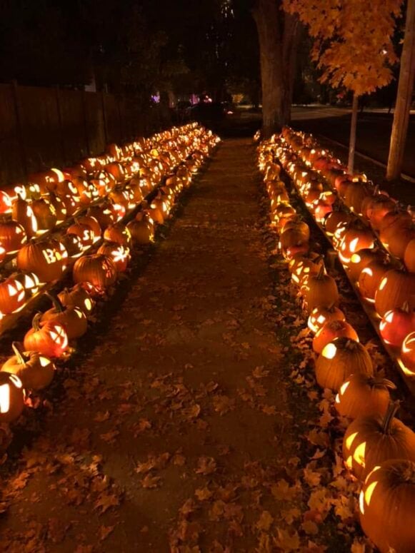 Shepherd Pumpkin Festival
